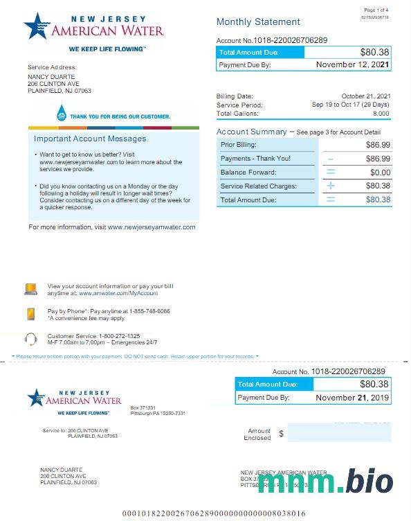 USA NEW JERSEY AMERICAN Water rachunek za media Word i PDF template
